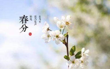秦皇島裝修公司春分文案寫好了 拿去做圖發圈吧！